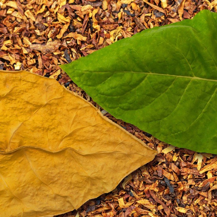 Wax Melt Μπάρα Tobacco & Oak - Image 5